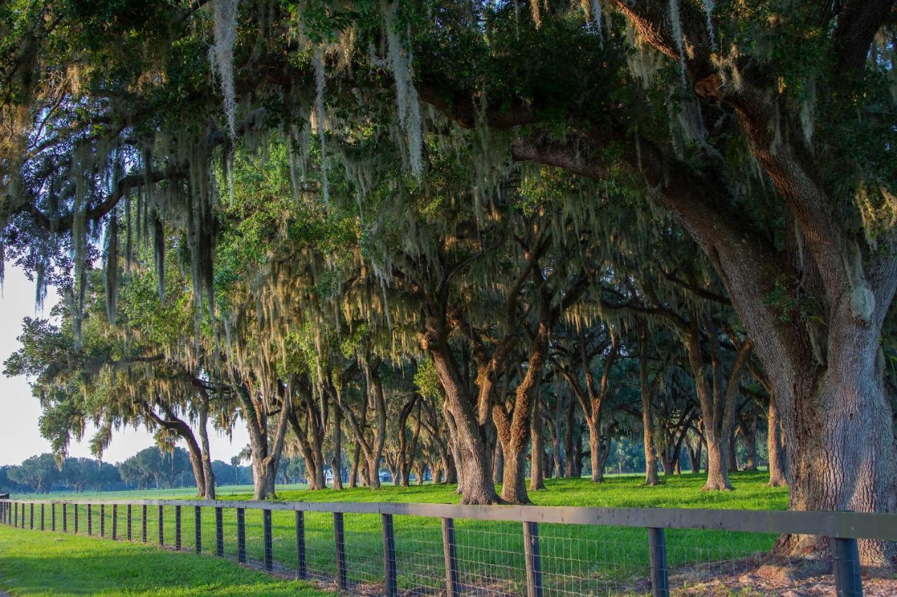 Holiday Inn Hotel & Suites Ocala Conference Center By Ihg Bagian luar foto
